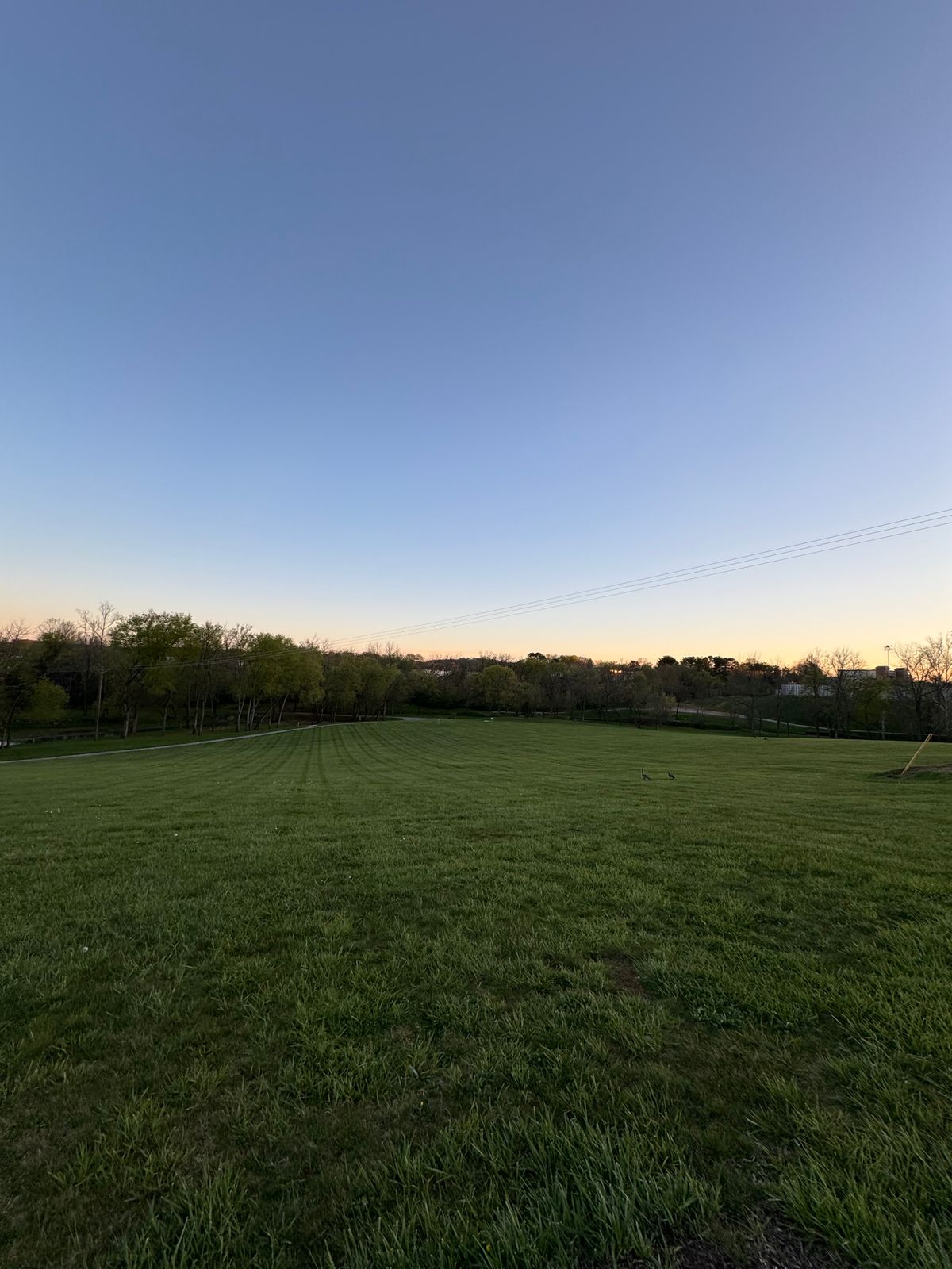 Hole 8 from the tee off.