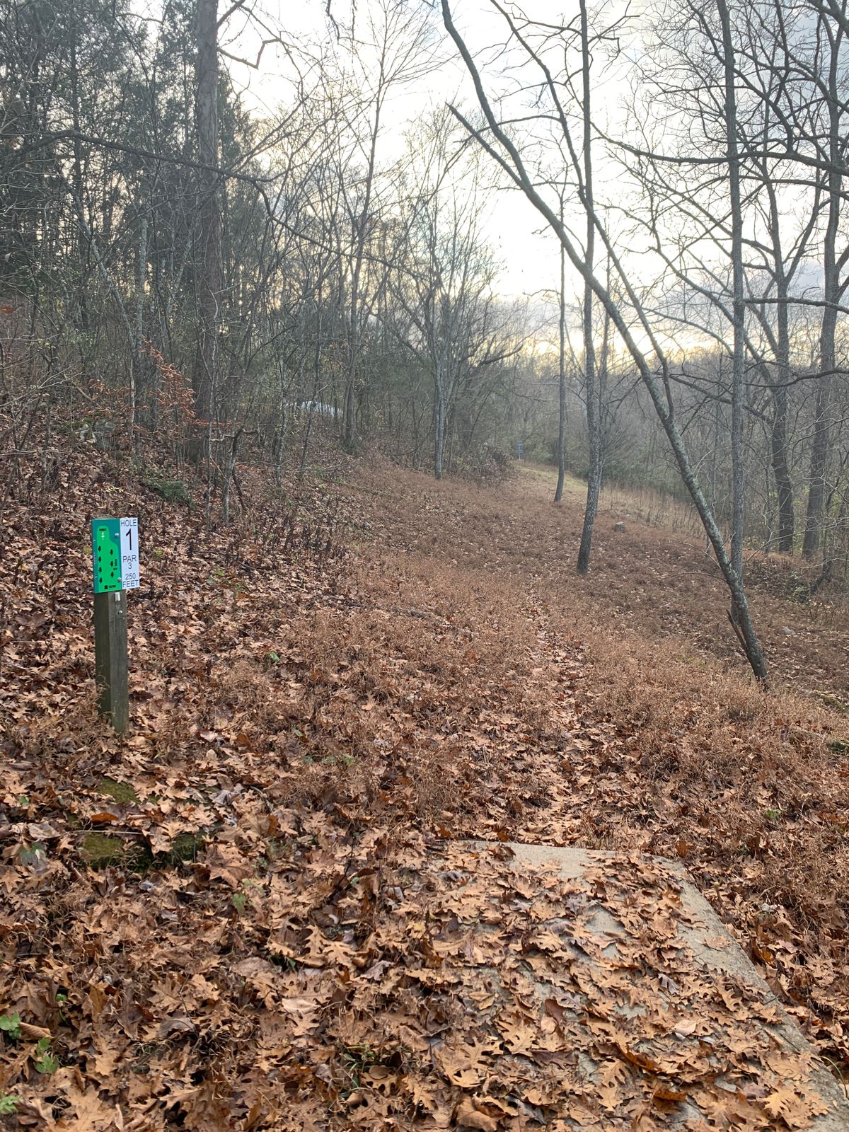 Tee for Hole 1.