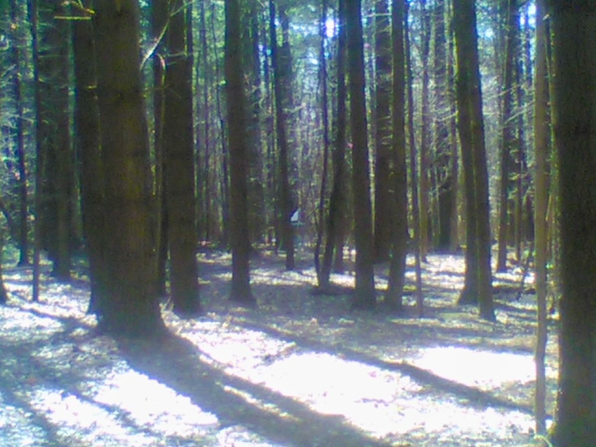Hole 10