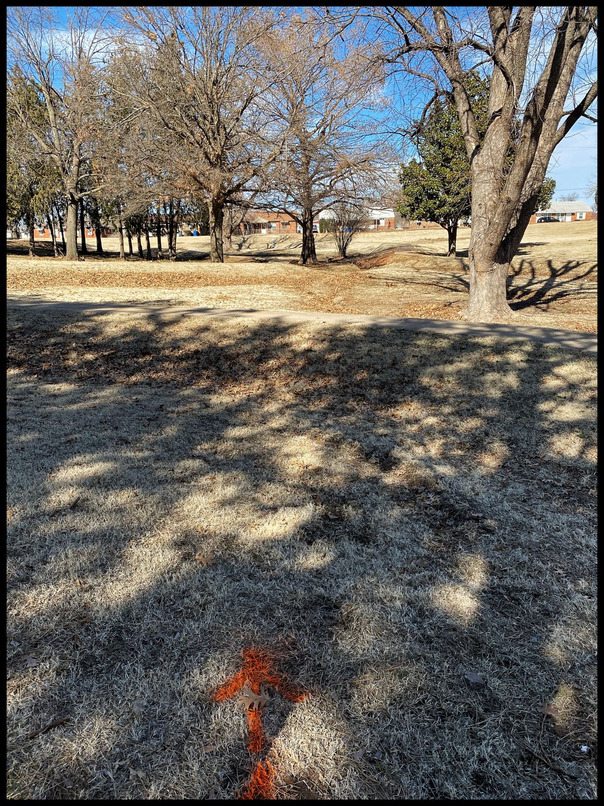 #4 Tee throwing north