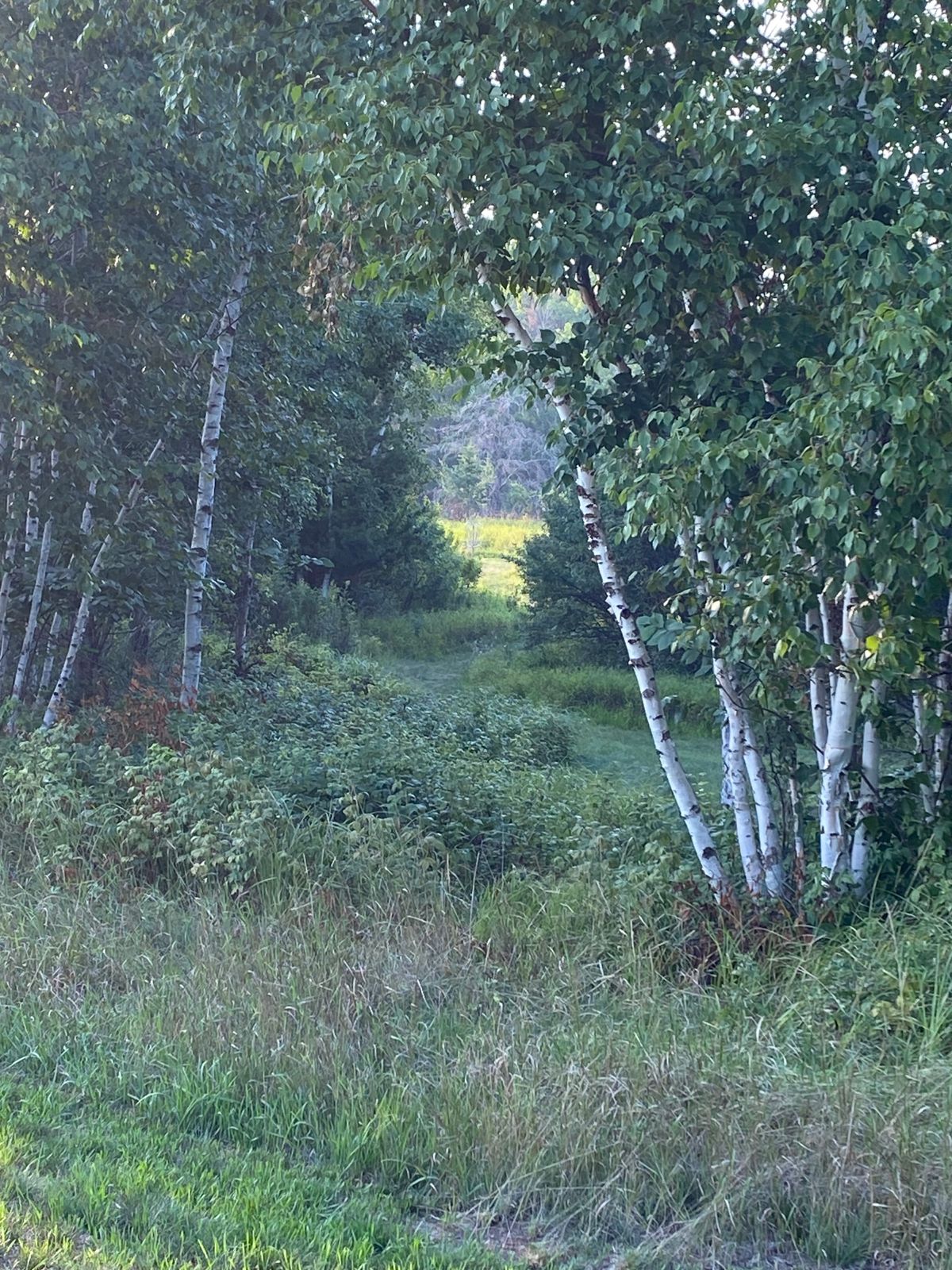 Hole 2
