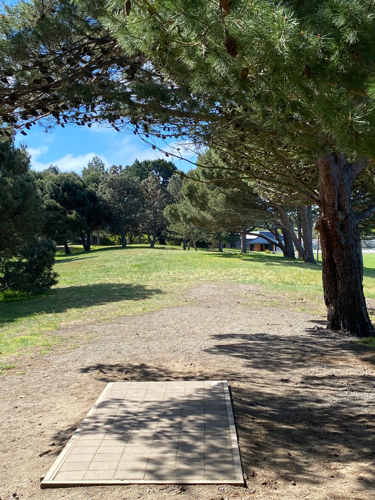 3rd tee