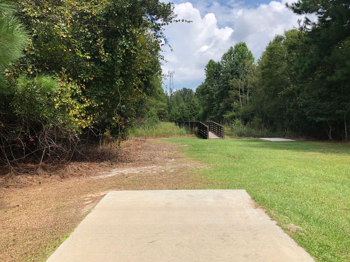 Hole 10 - Blue