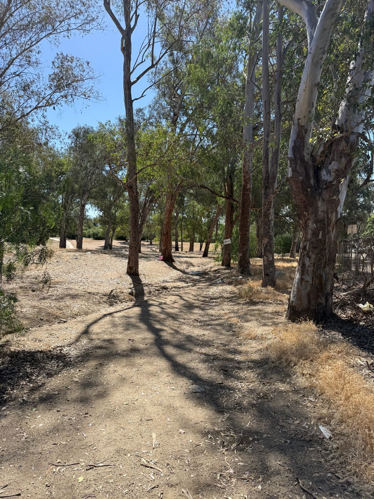 Hole 14