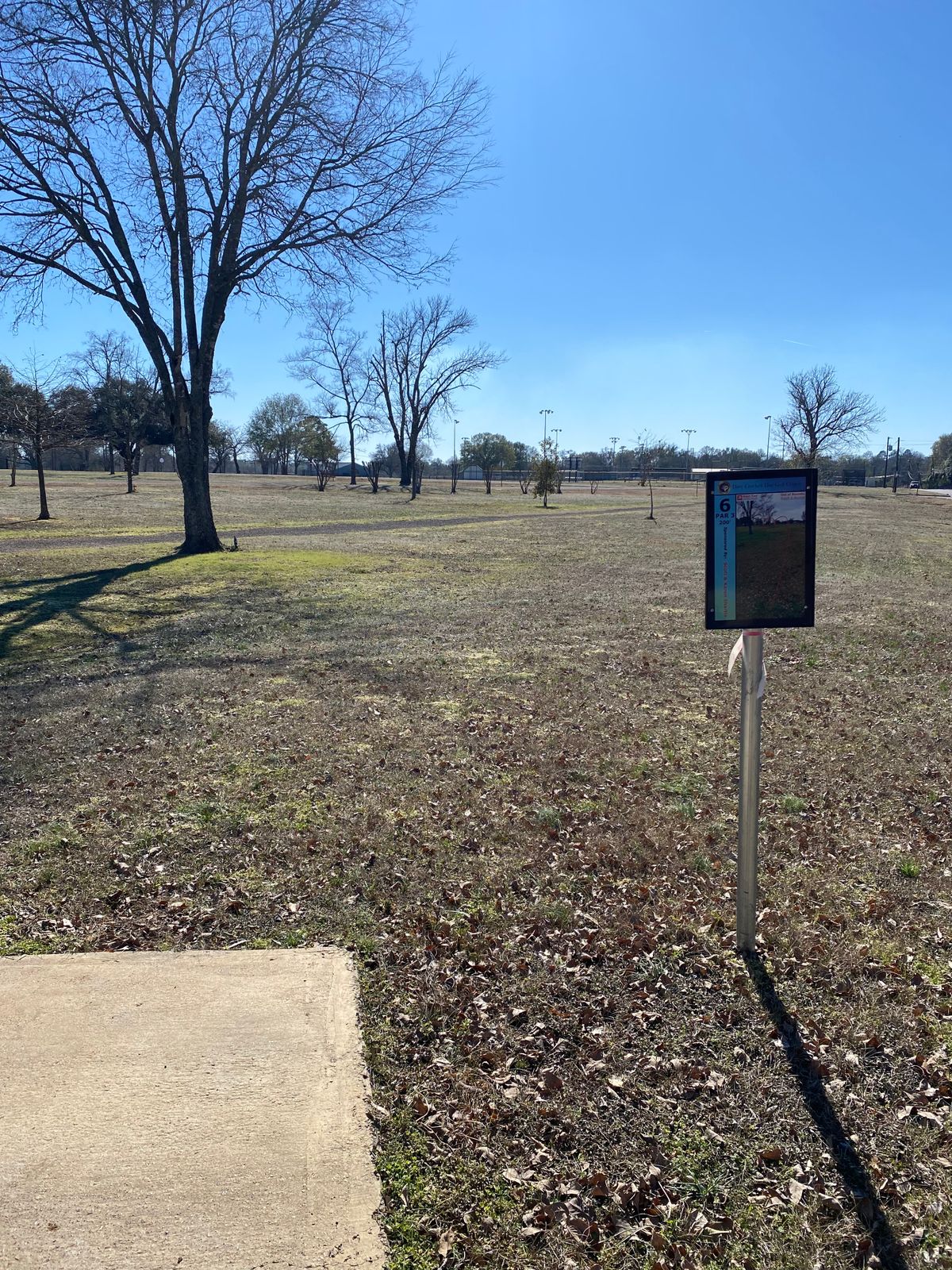 Hole 6, 200ft, OB road and beyond