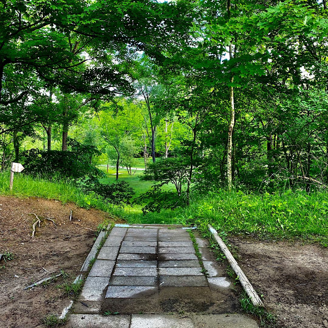 Hole #11 White Tee