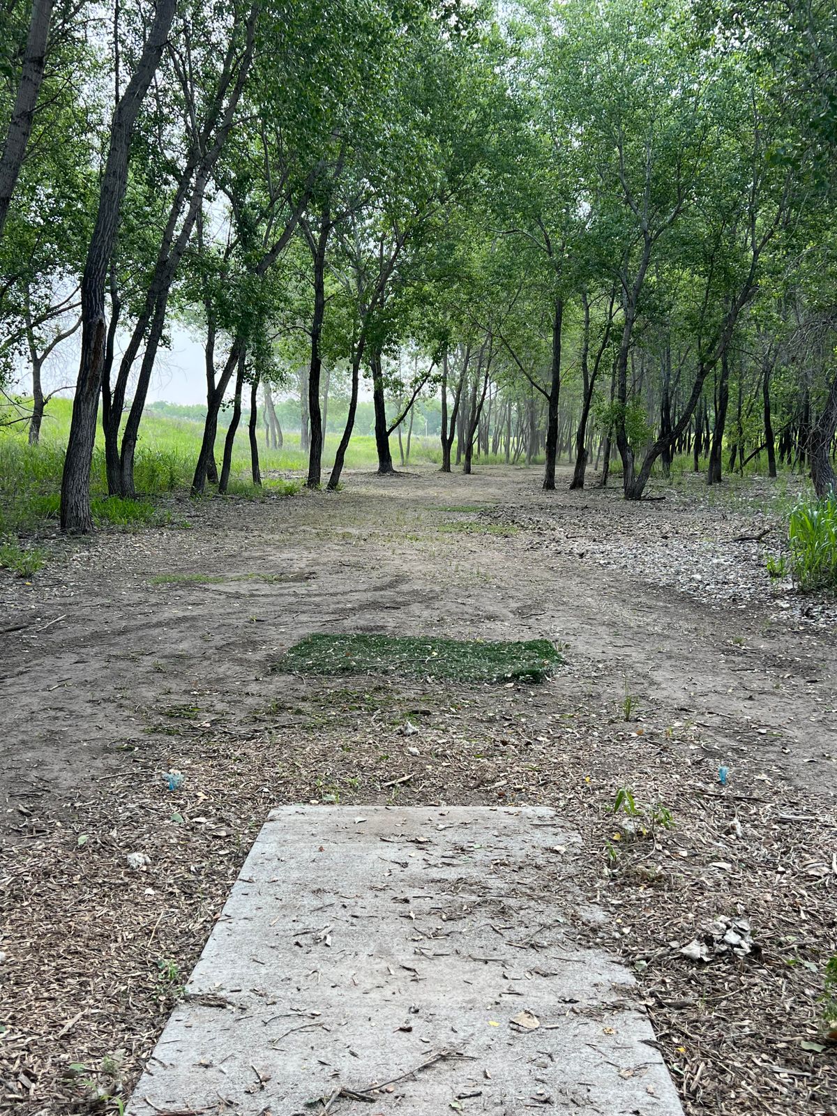 Hole 3