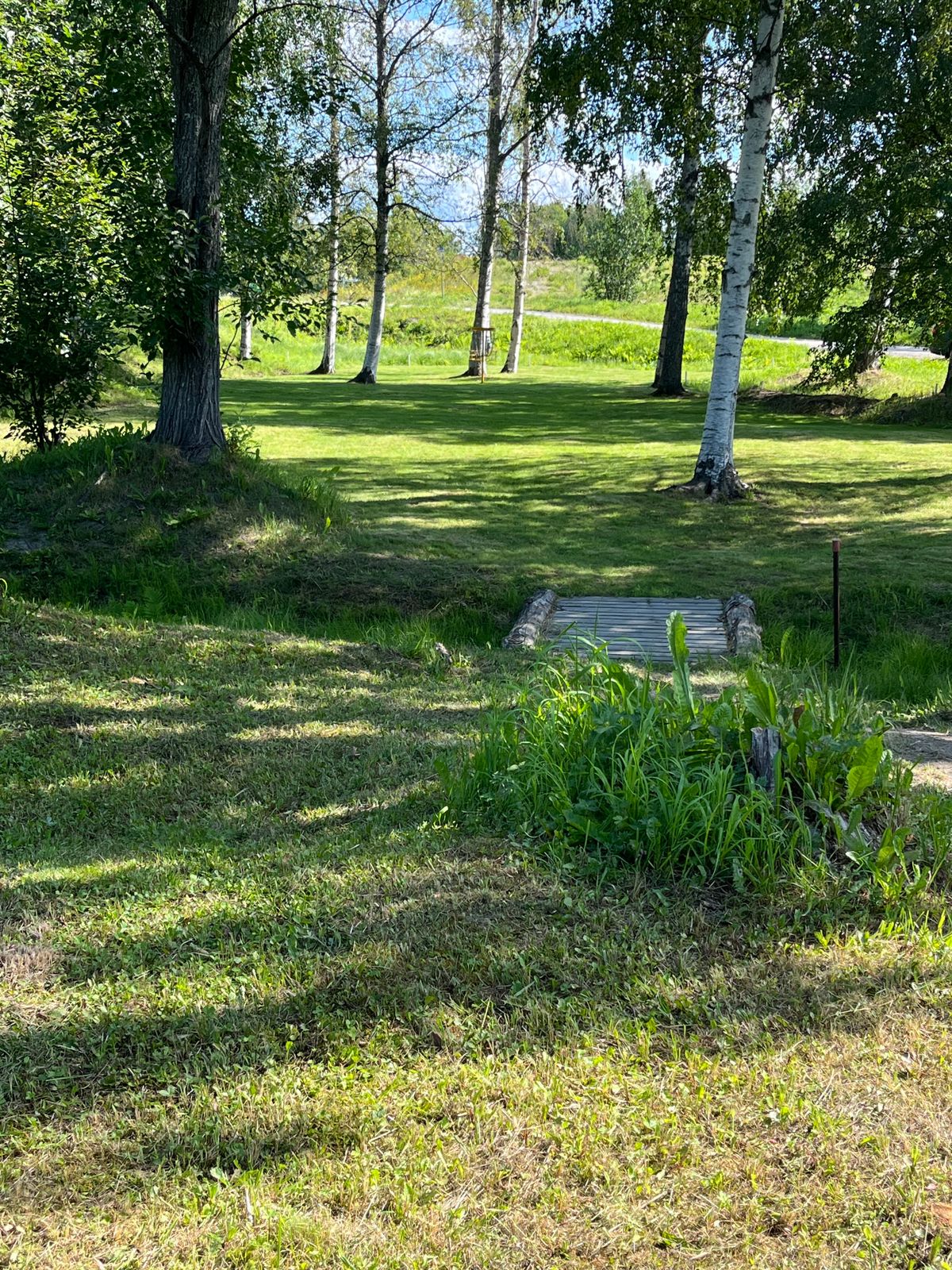 Hål 16 Gul Fairway