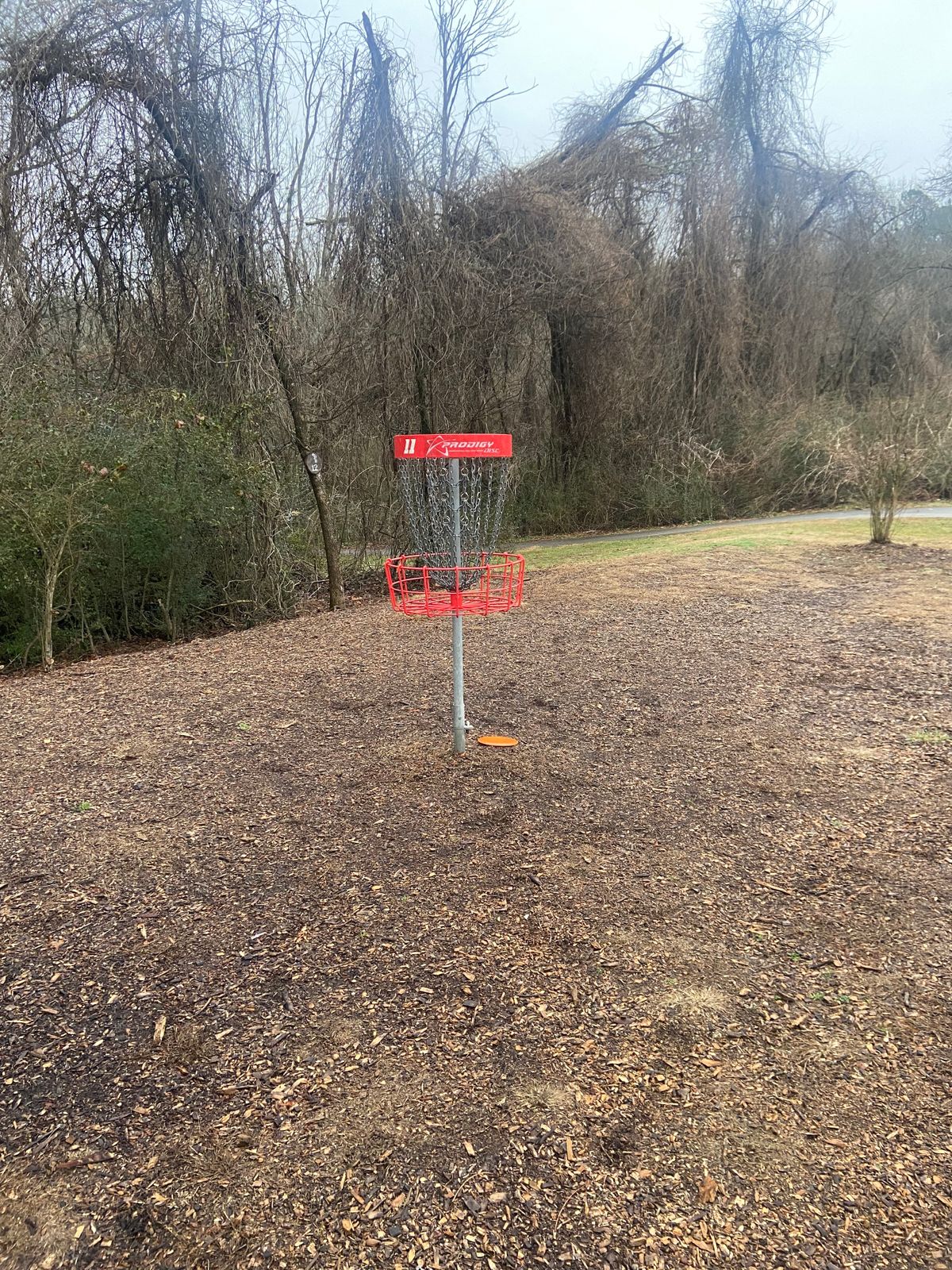 hole #11