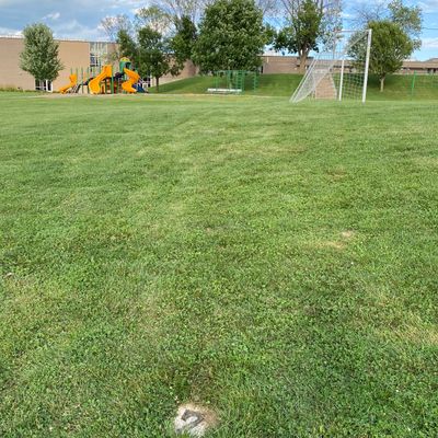Hole #7 Basket is on hillside past playground.