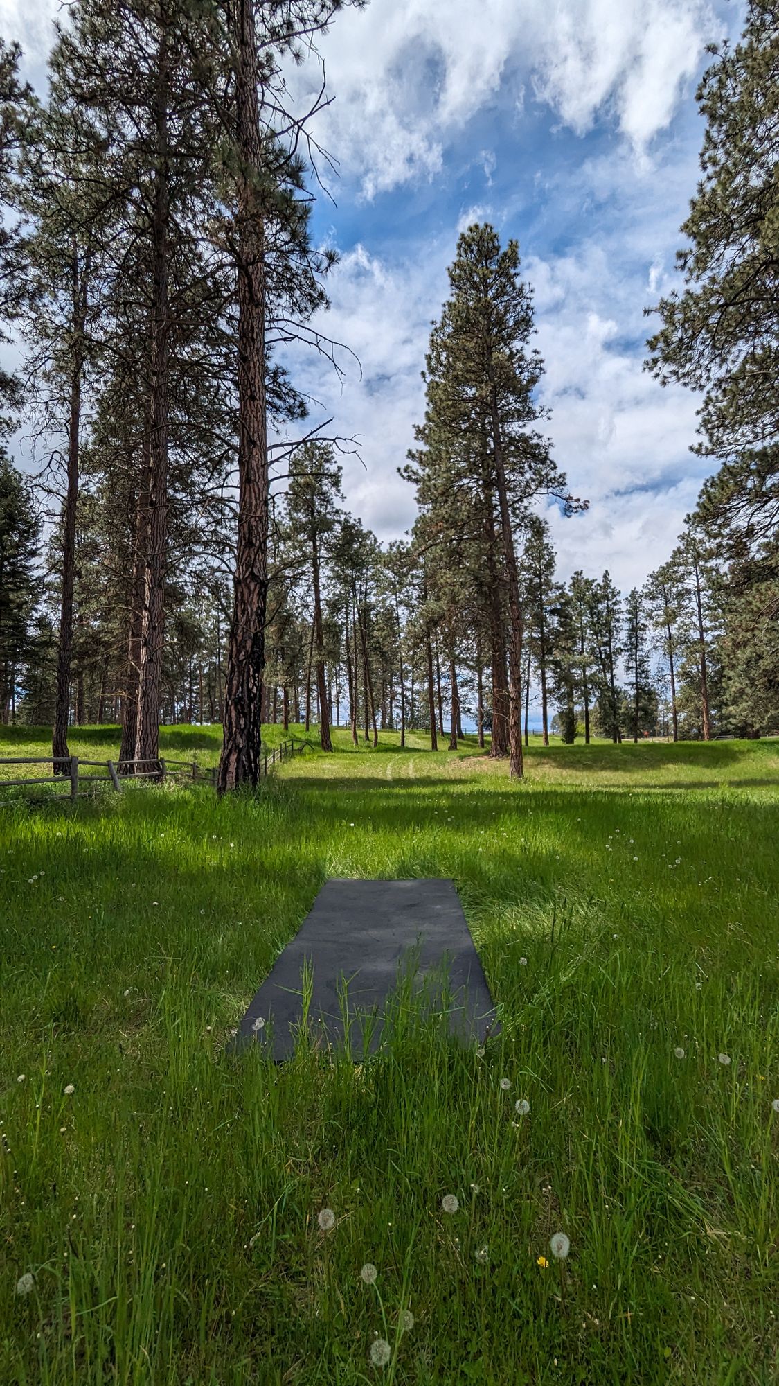 Hole 8 tpad