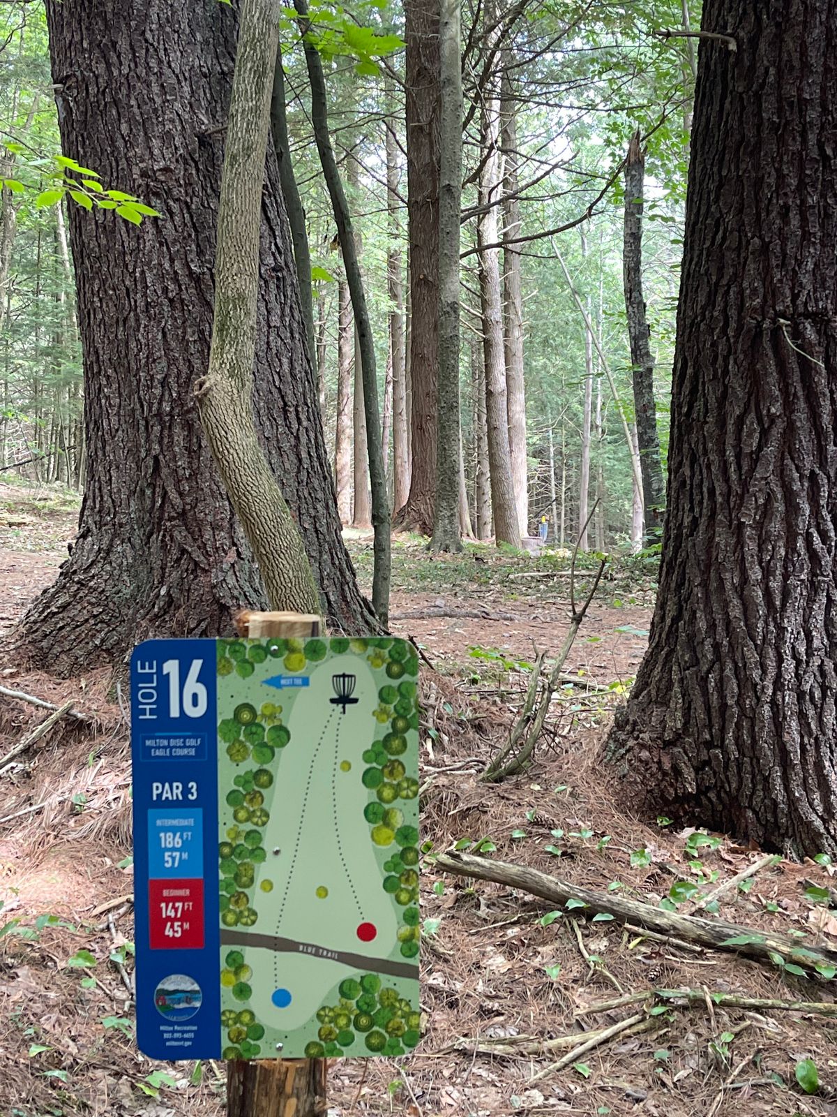 Hole 16
