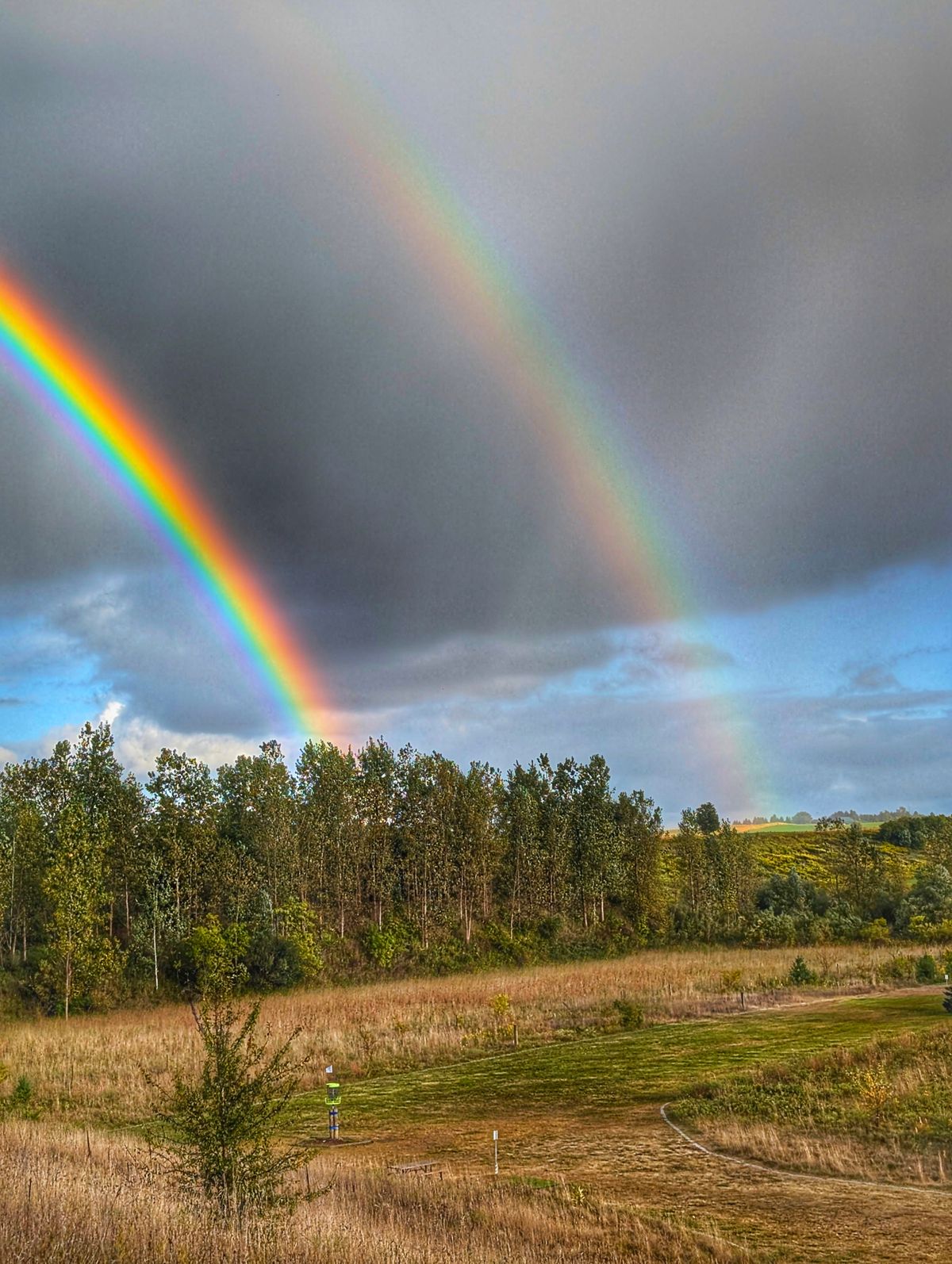 🌈🌈