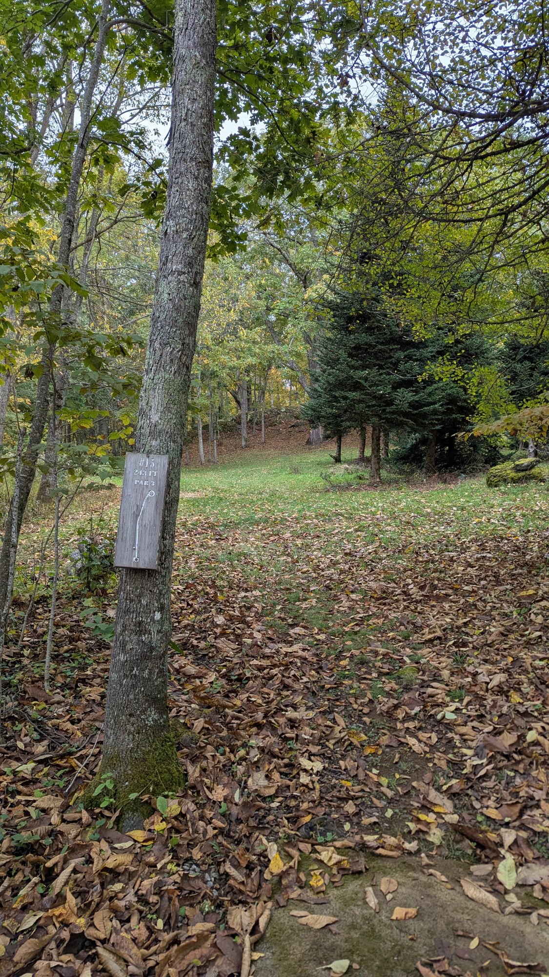 Hole 15