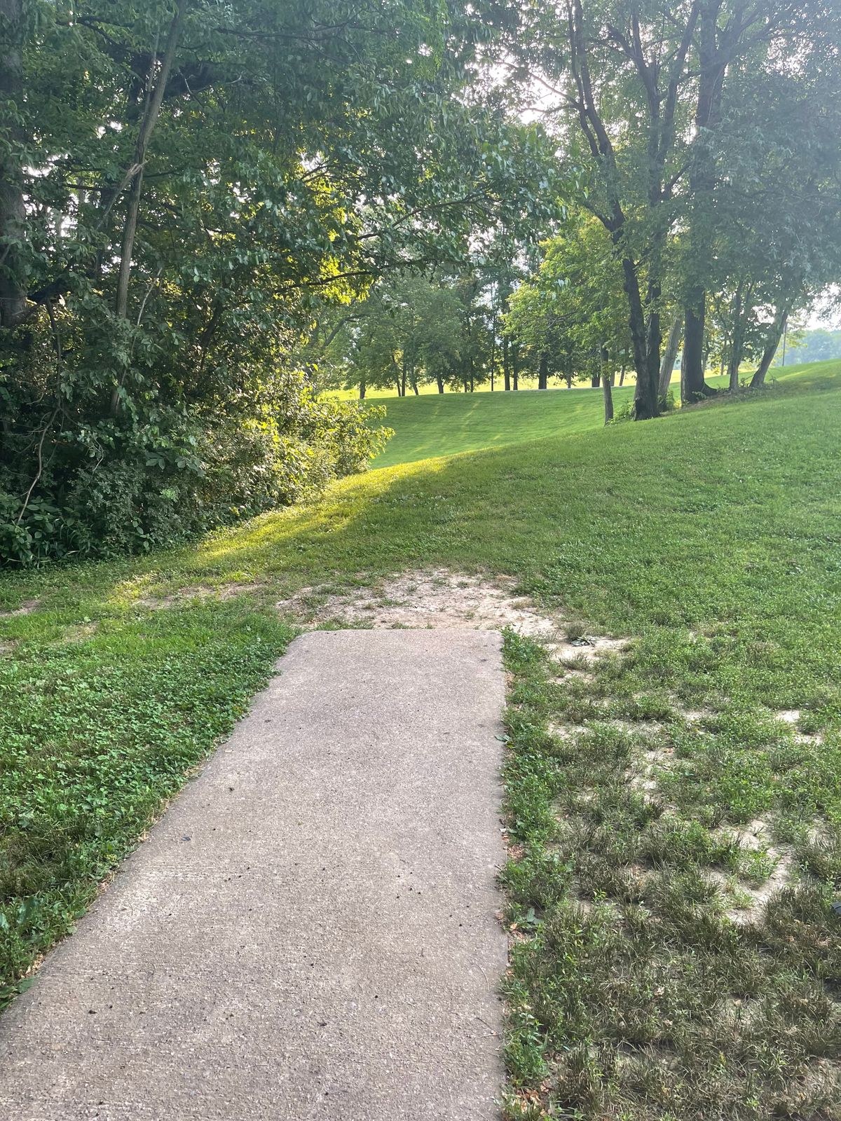 Hole 8, basket left down fairway