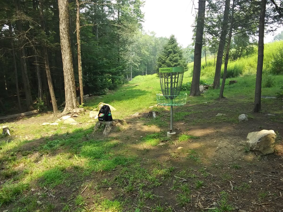 2's basket, looking back at tee pad.