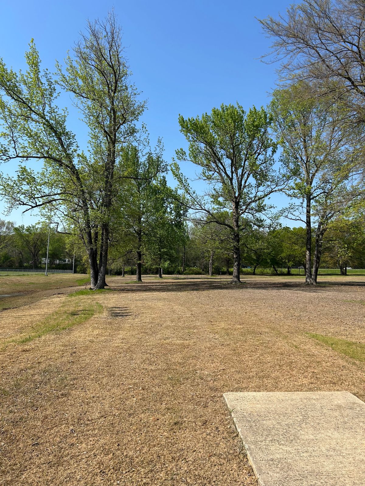 Hole 3