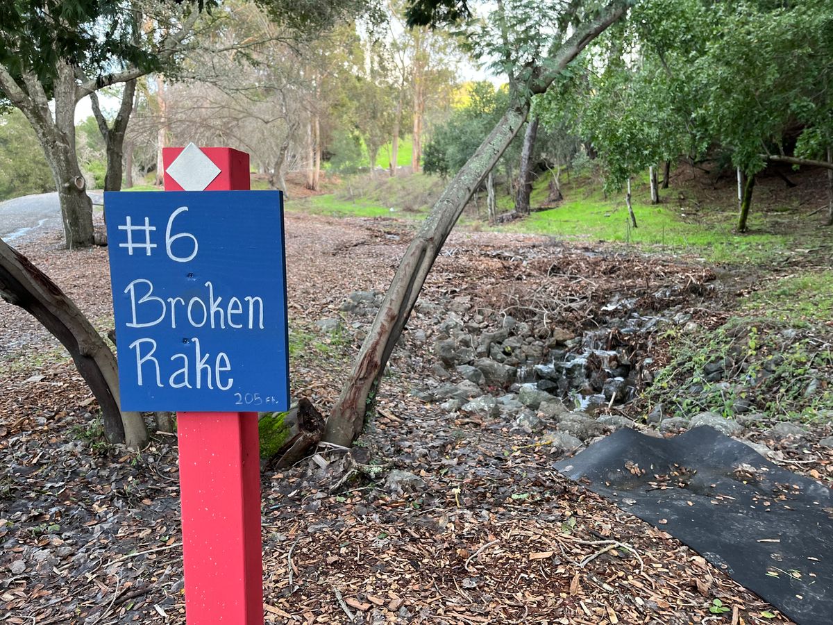 Hole 6 tee with small water fall ahead.