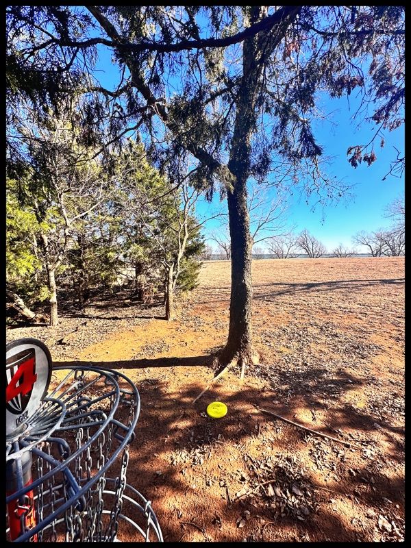 #4 green looking back towards Tee to left of bend