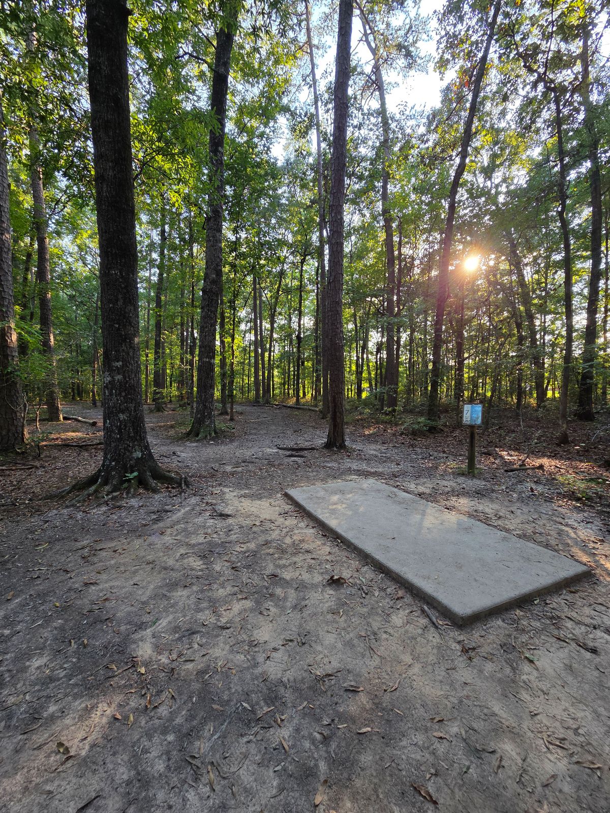 Hole 7