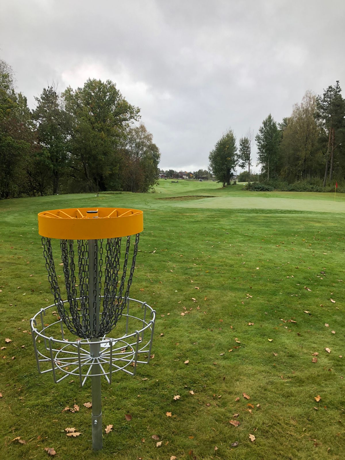Looking against the tee on Hole 11
