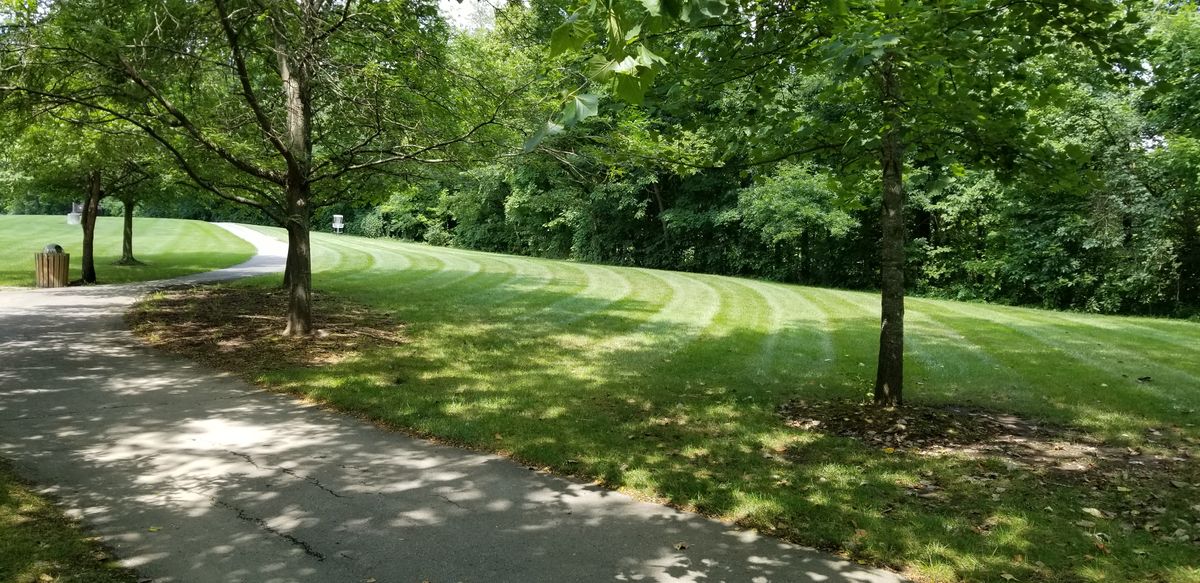Hole 6