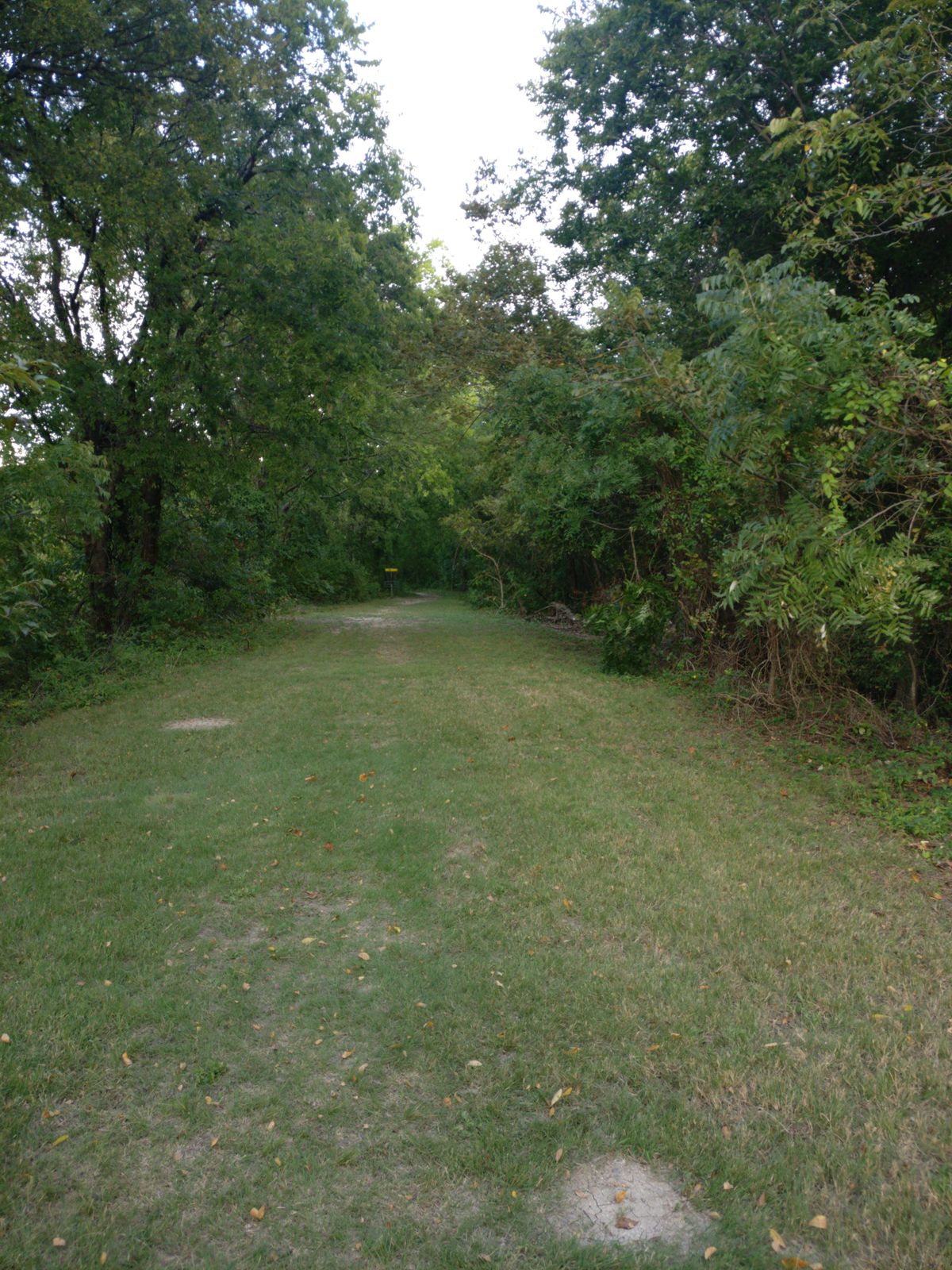 Hole 8