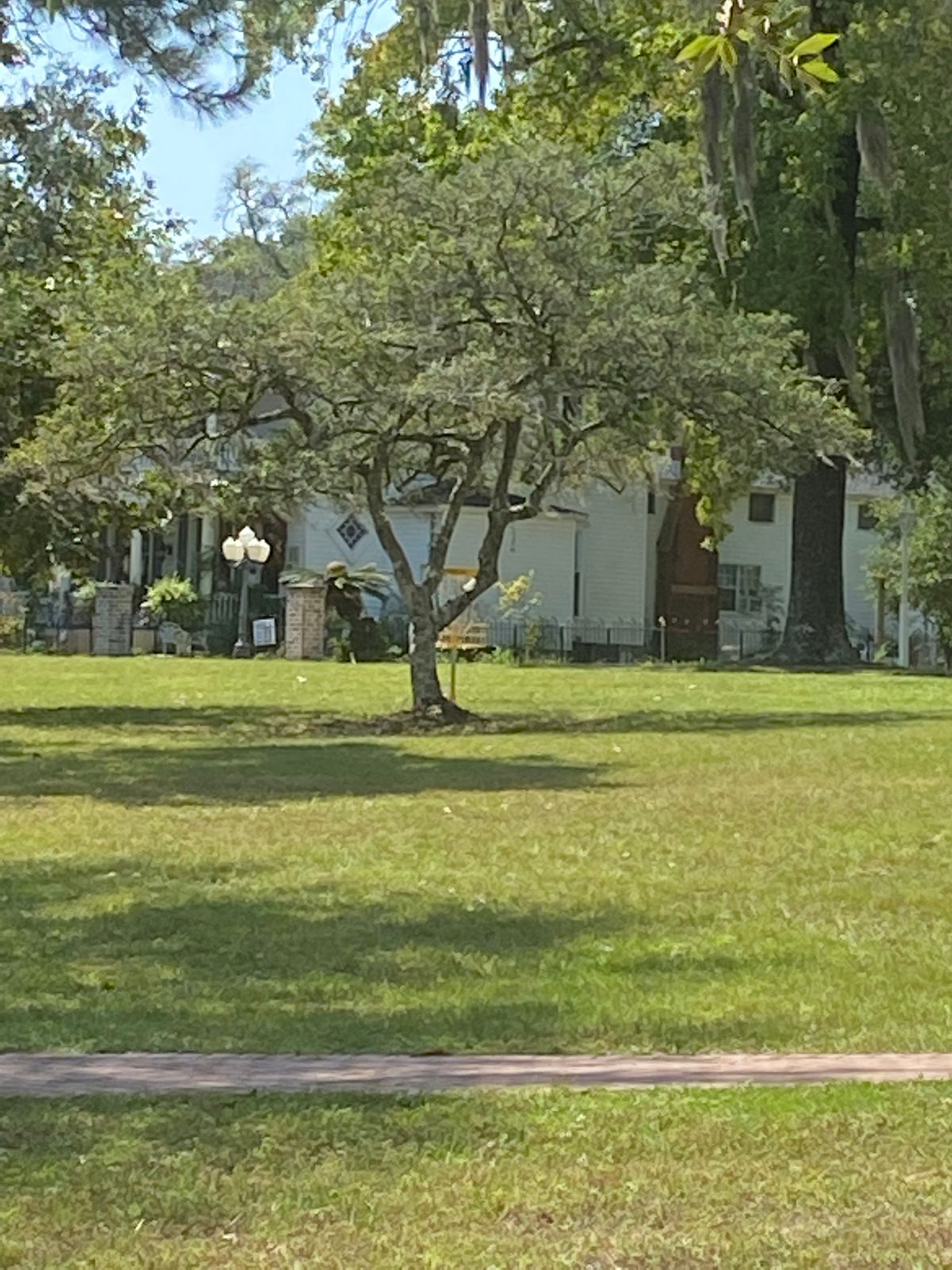 Hole 4