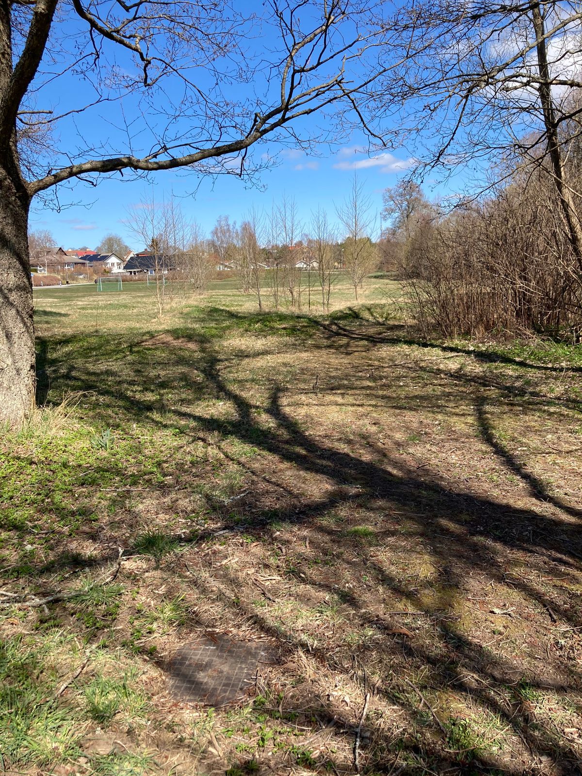 Tee 4 (par 4)
