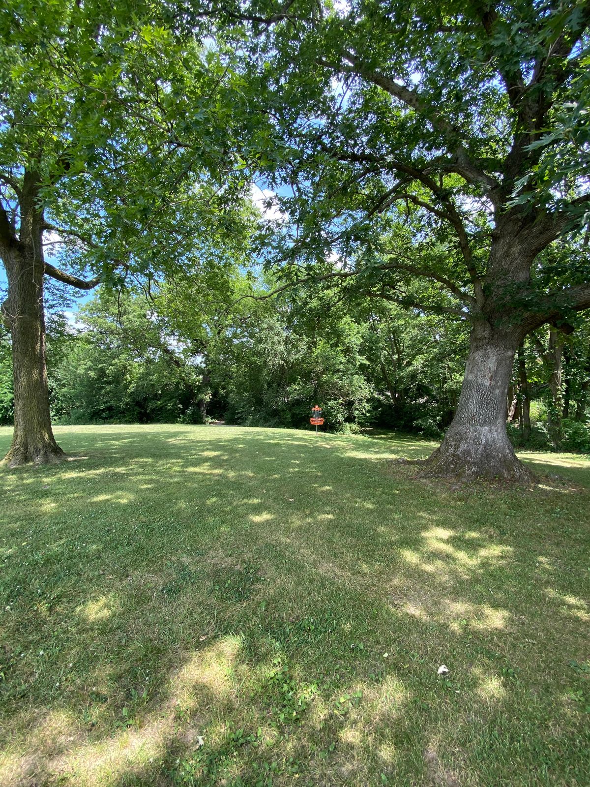 Hole 2 basket