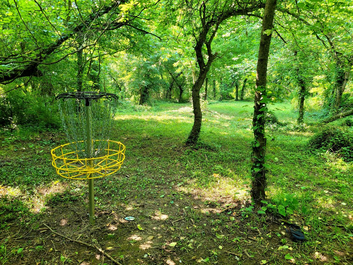 #6 Target looking back to Fairway