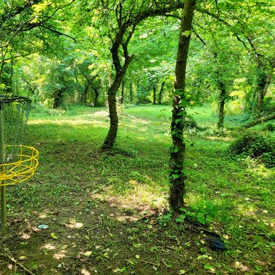 #6 Target looking back to Fairway