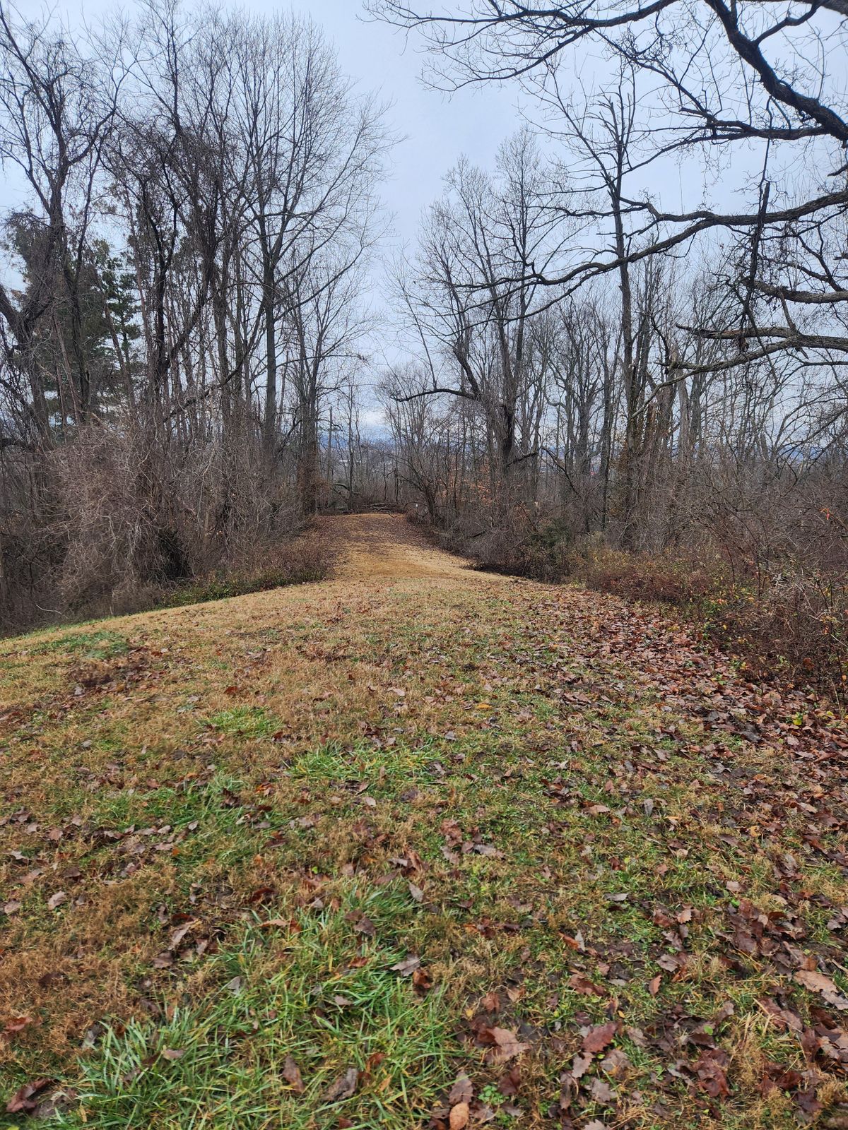 Hole 13