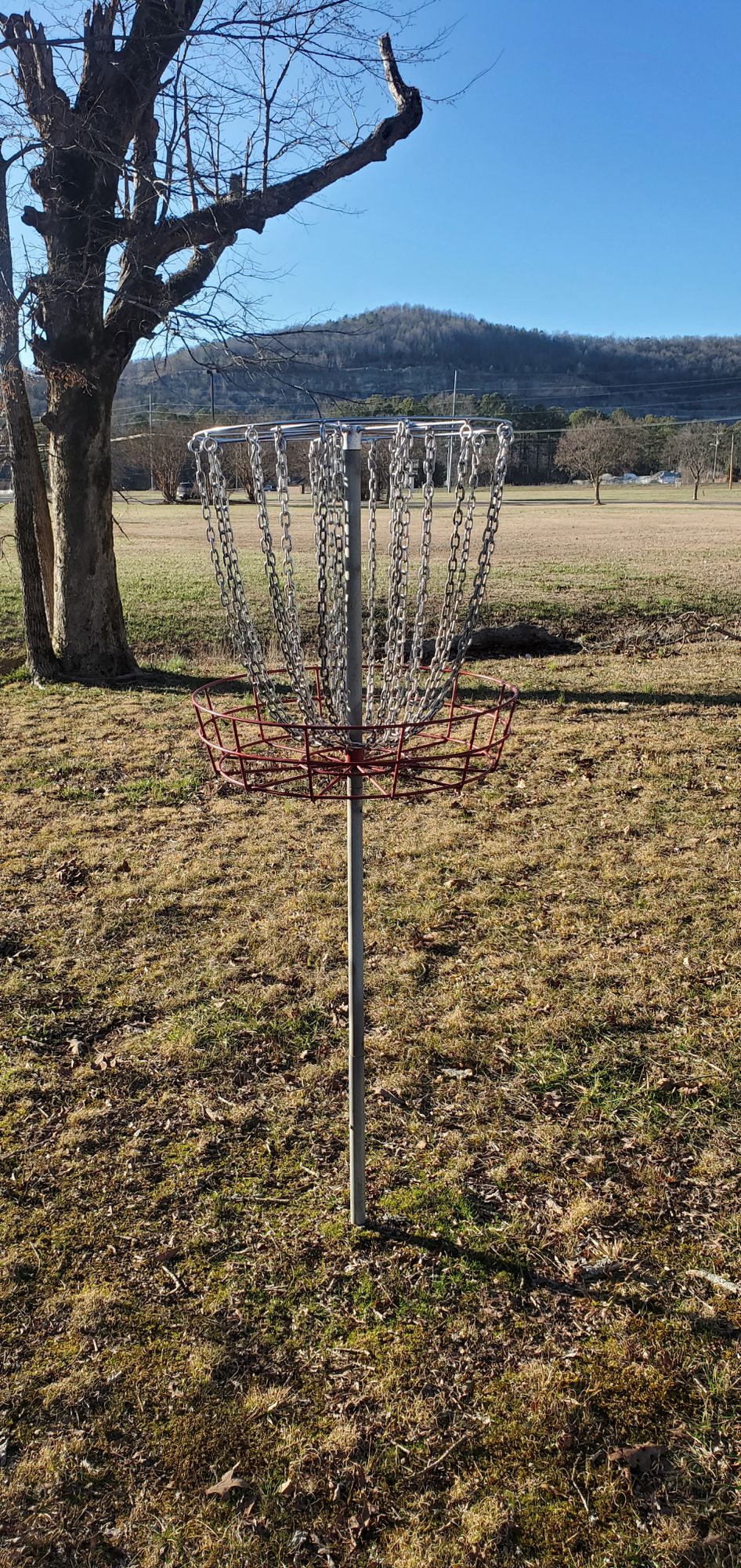 Hole 8 basket