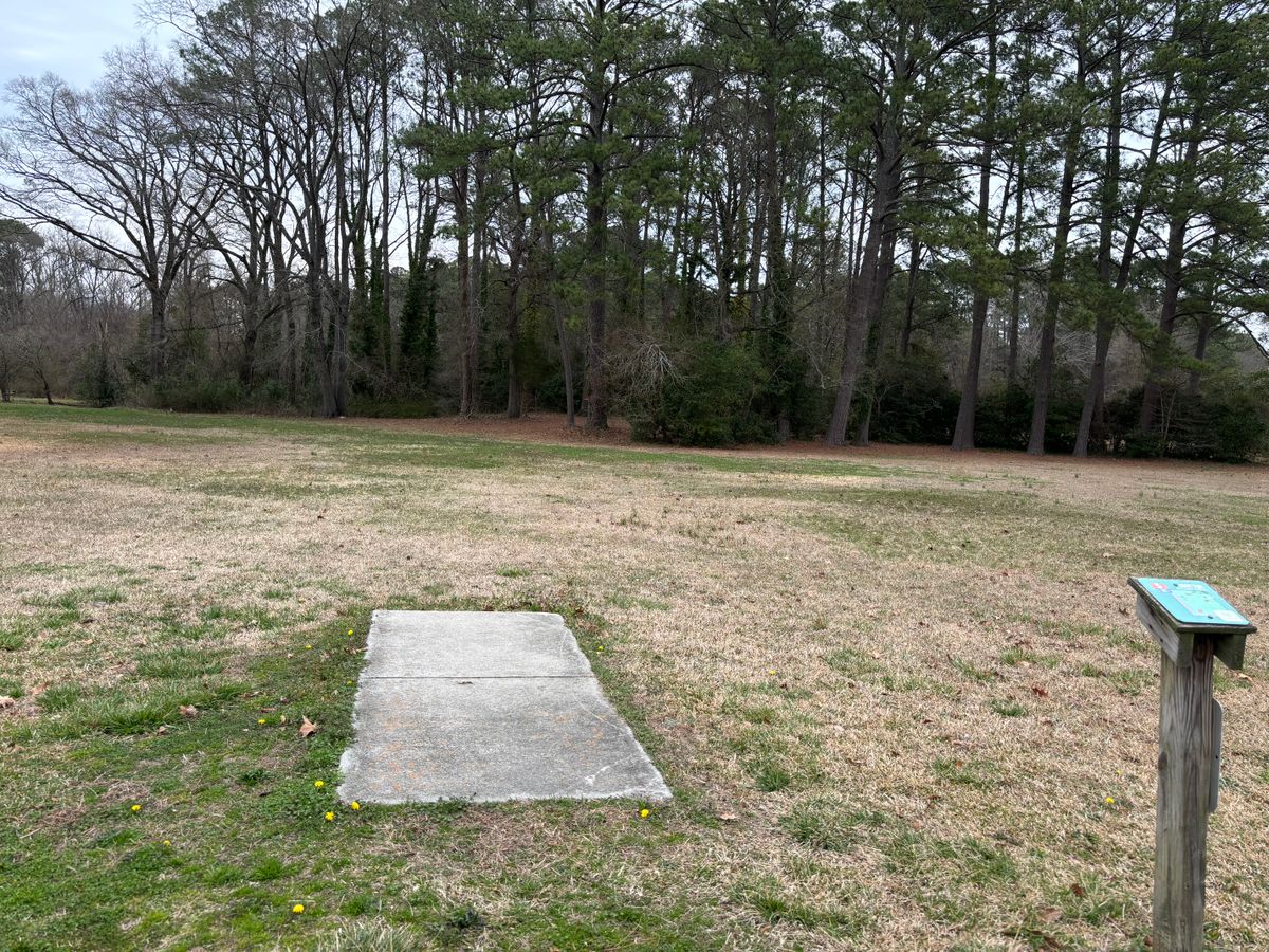 Hole 5 shorts