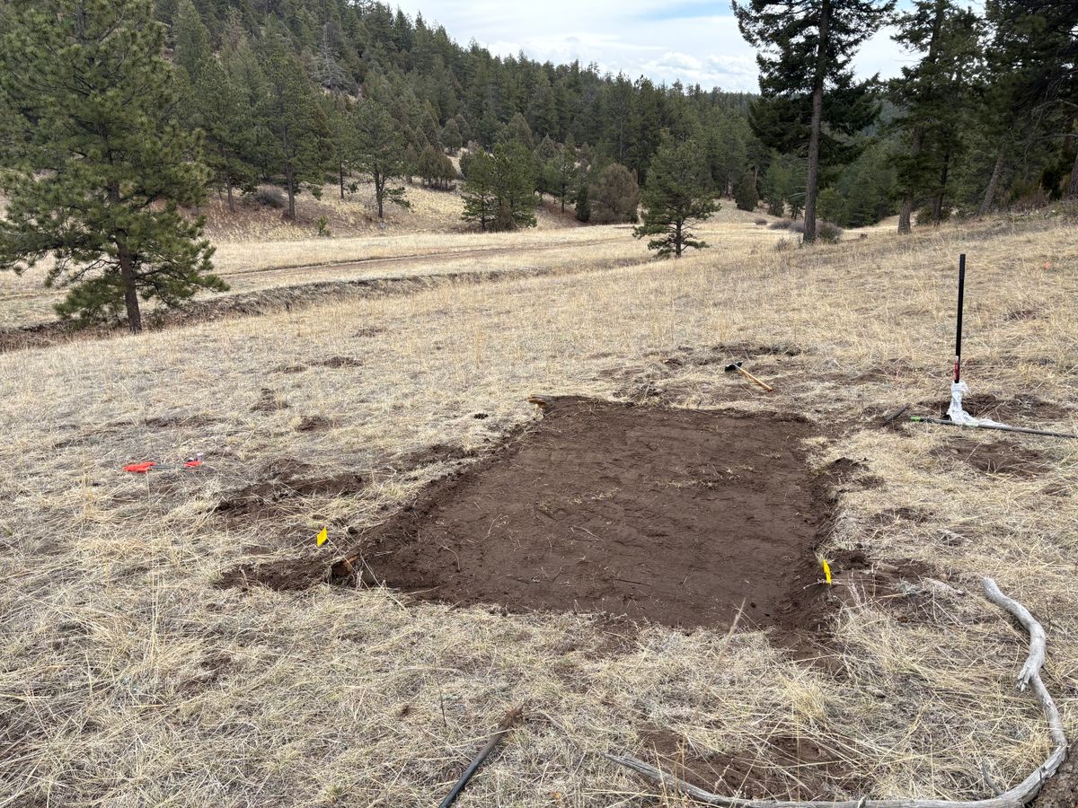 Tee pad hole 2 shortly after building