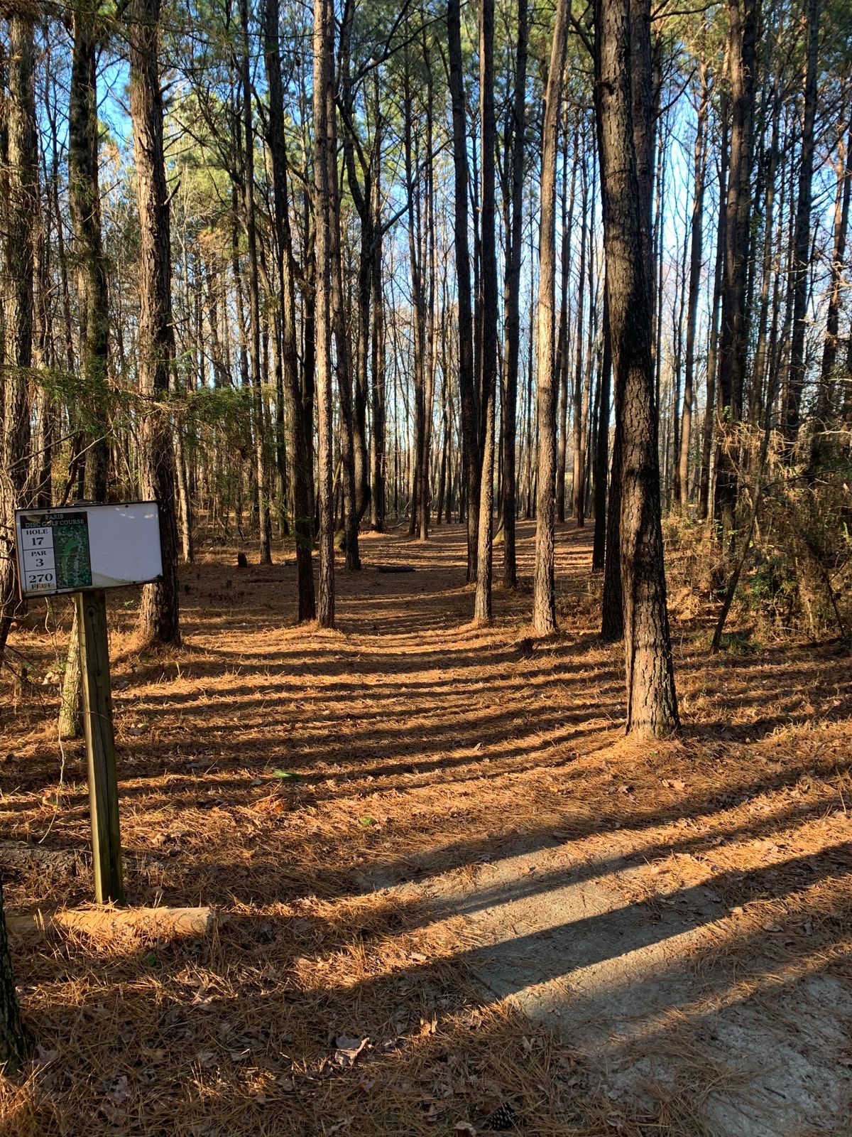 Hole 17