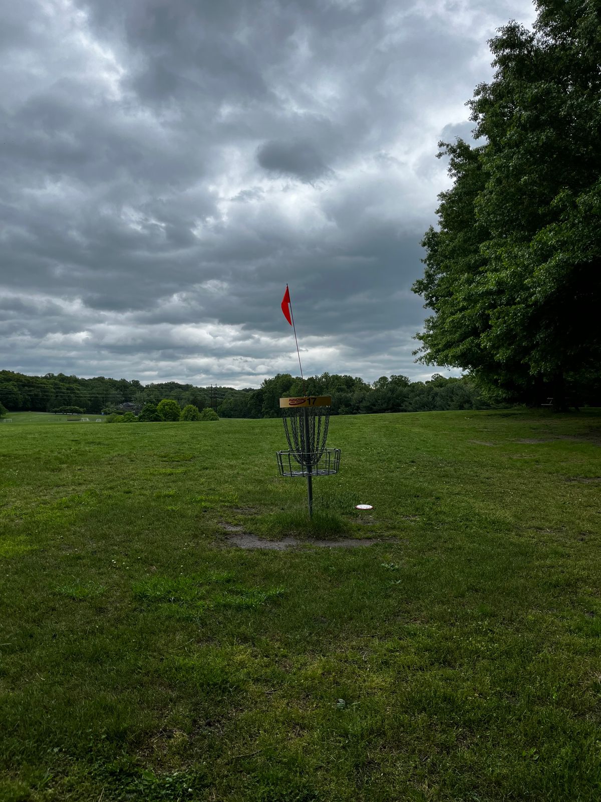 Hole 17 yellow green