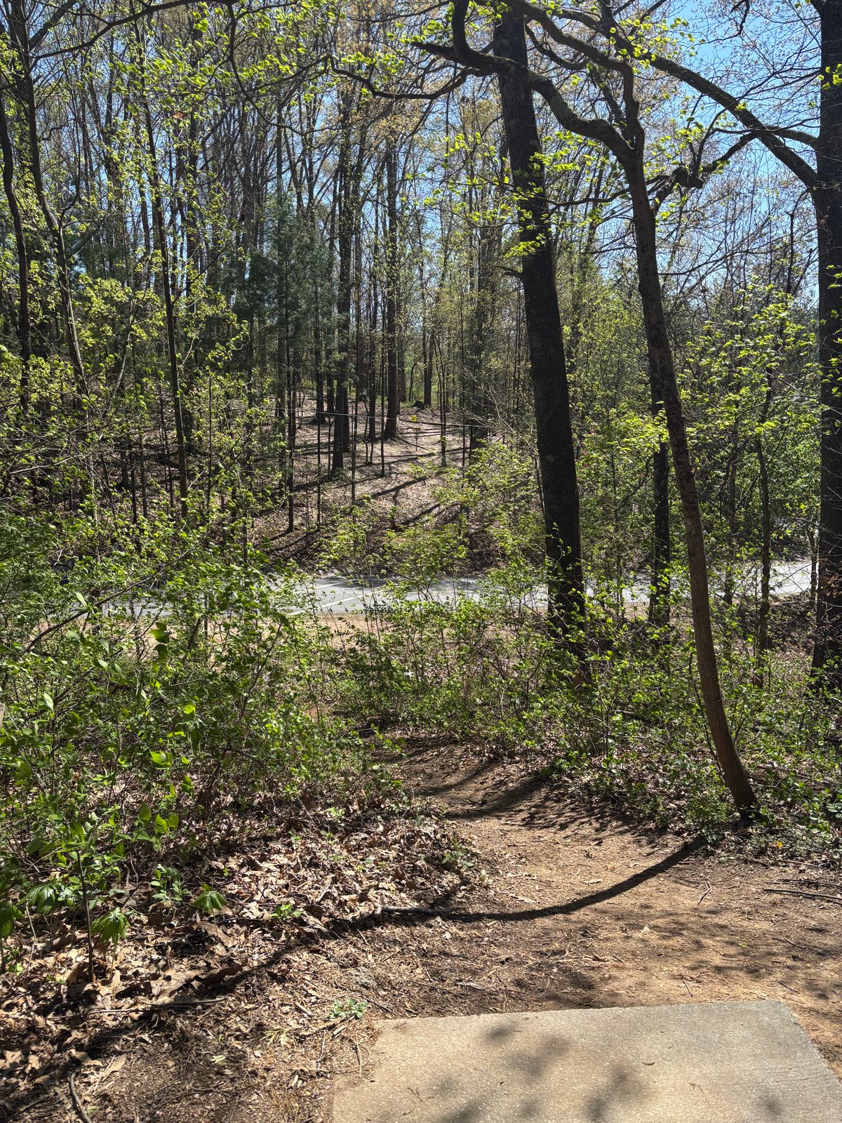 Hole 15