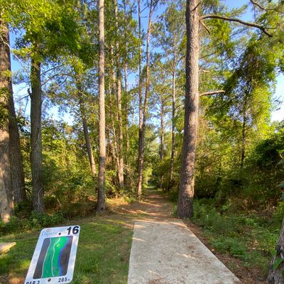 hole 16