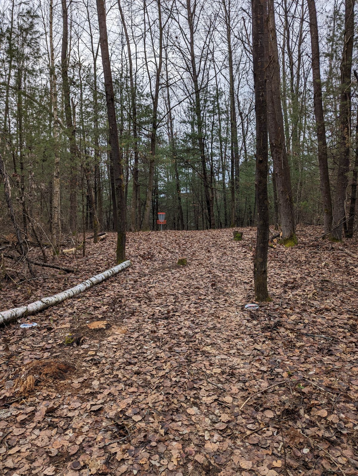 Hole 4 approach