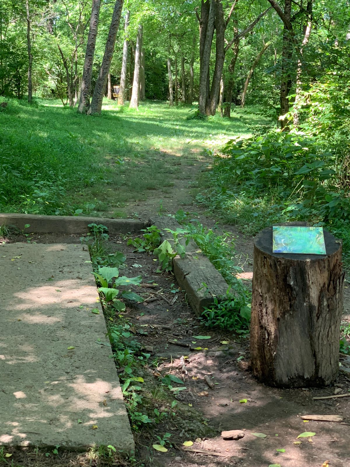 Hole 6