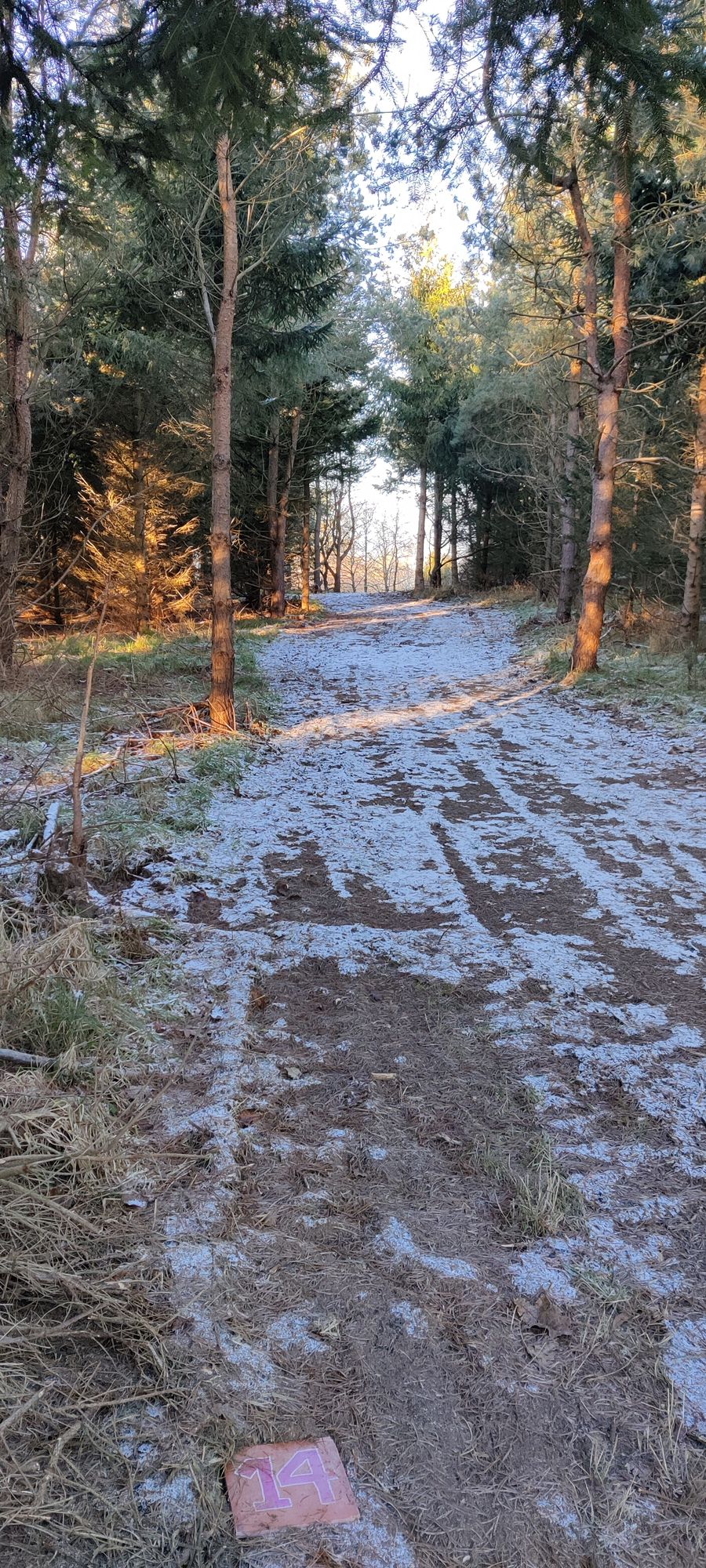 Lundborg Disc Golf