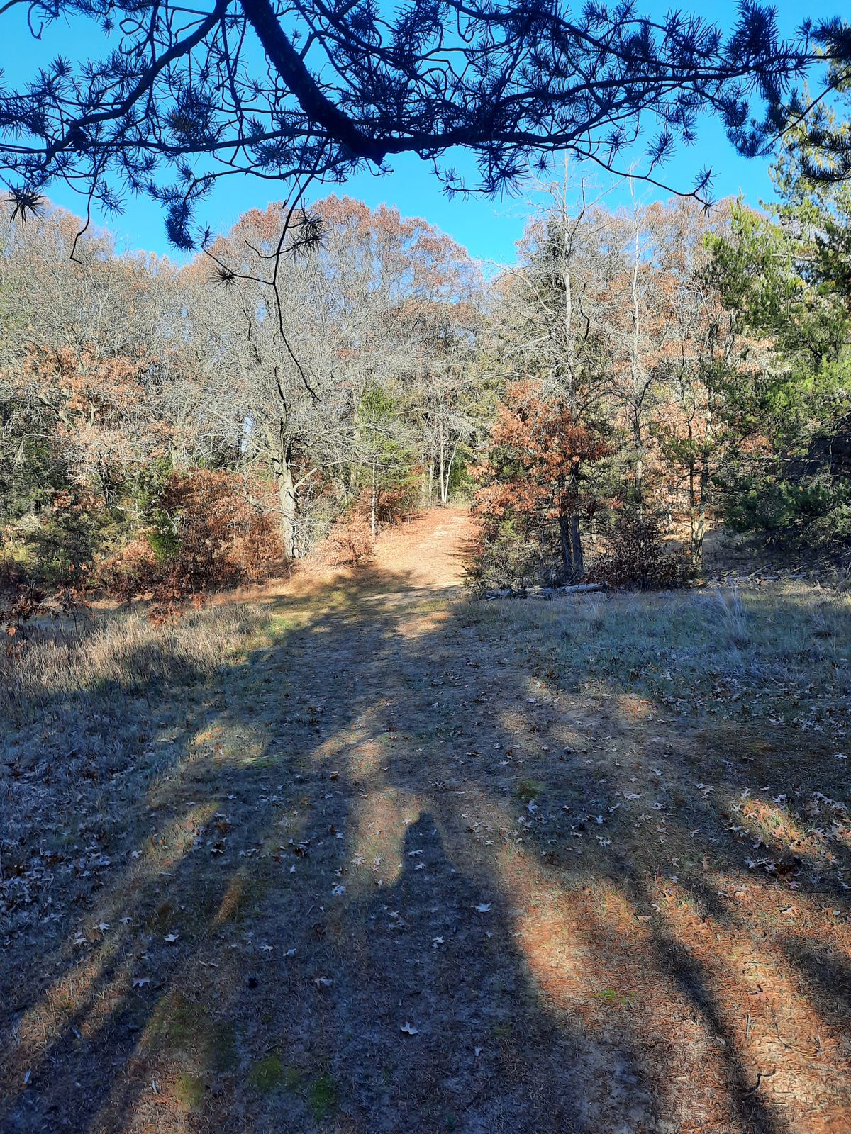 Hole 5
