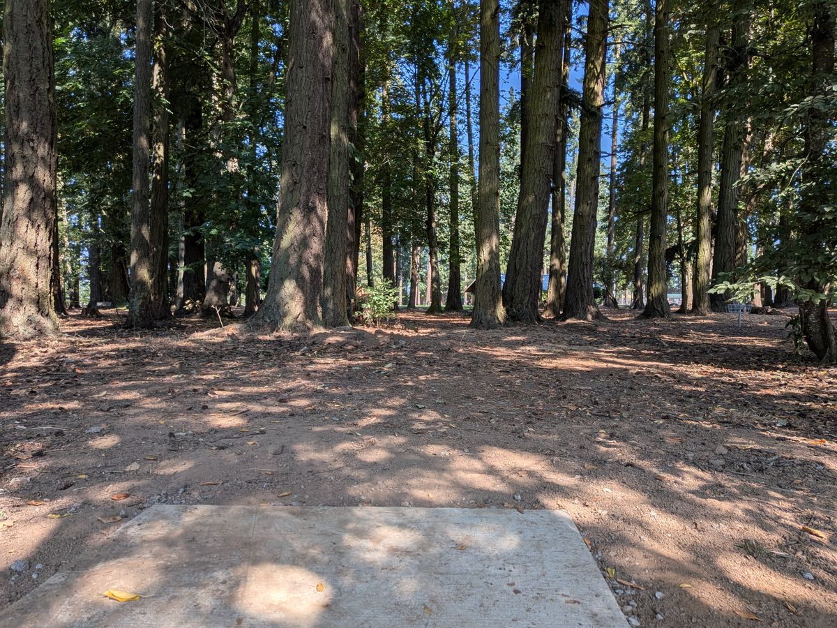 Hole 7