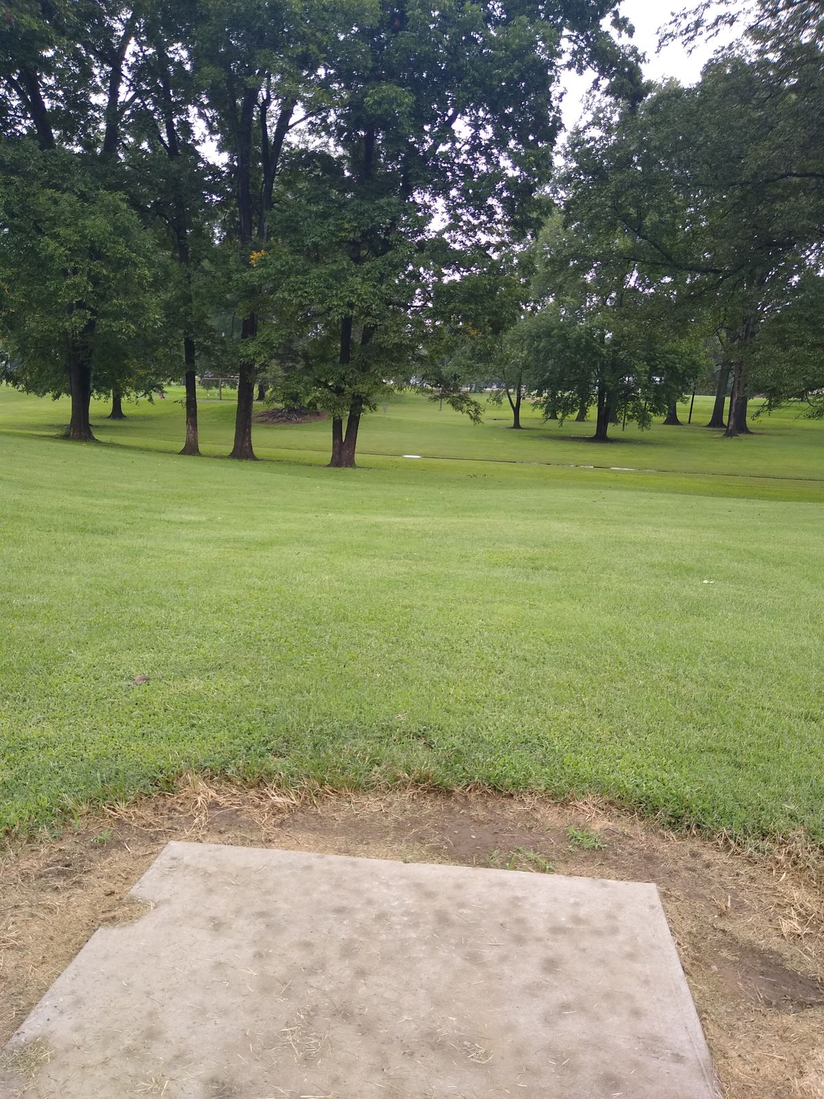 Hole 5 has a small wet area in the low area just past the trees on left