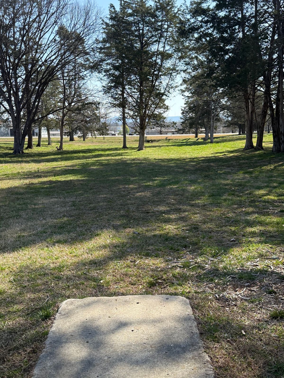 Hole 17 Tee box view