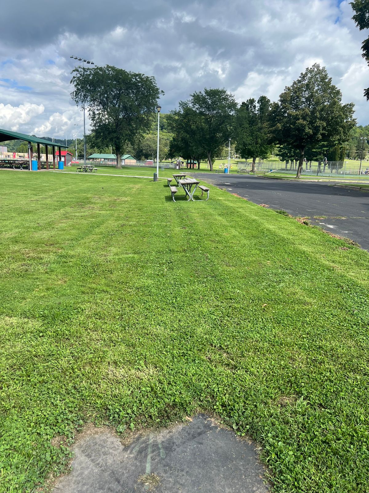 Hole 7 Tee