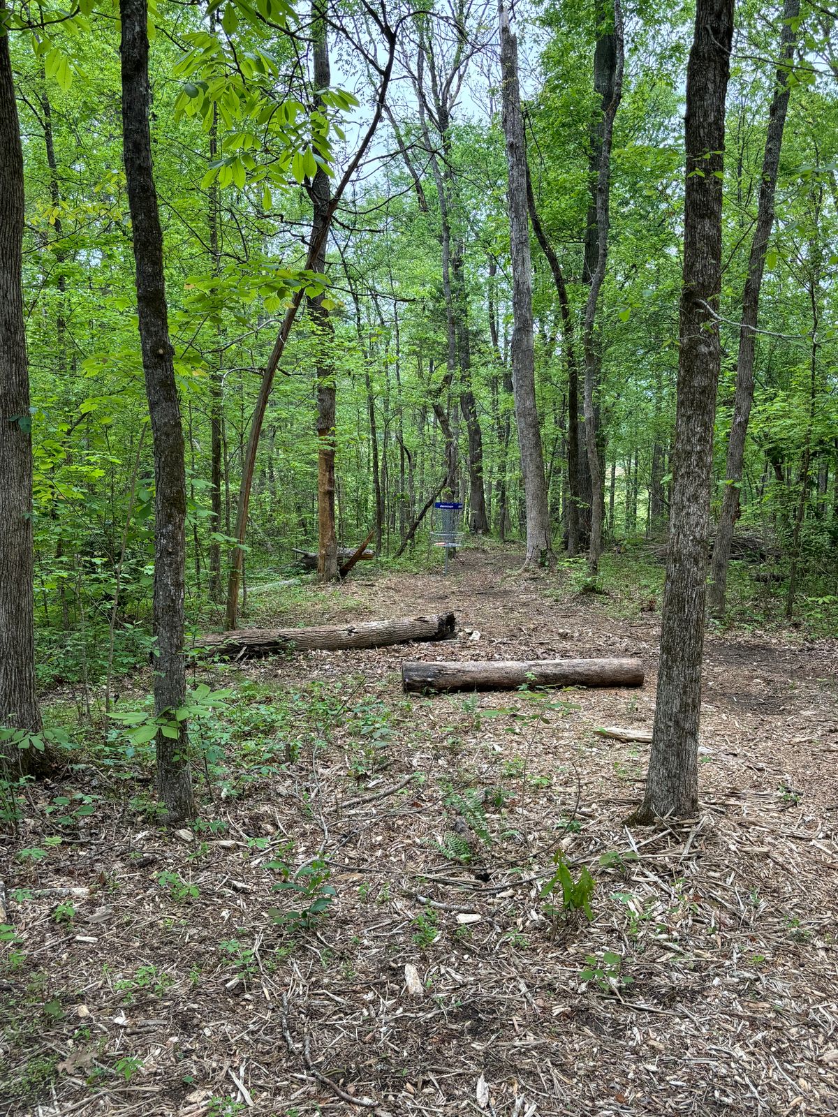 Hole 9