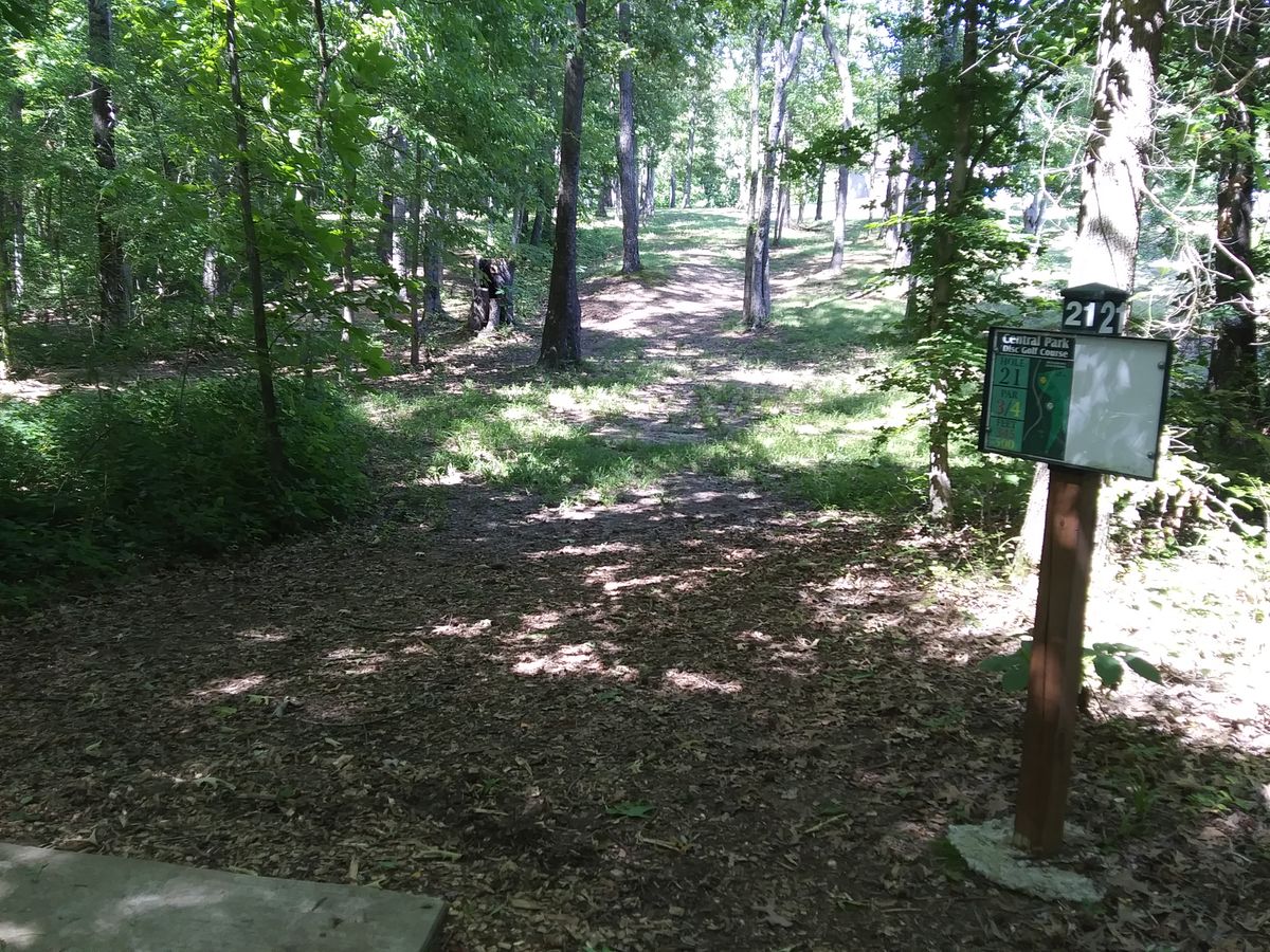 #21 tee shot is an uphill shot through the trees with OB left.